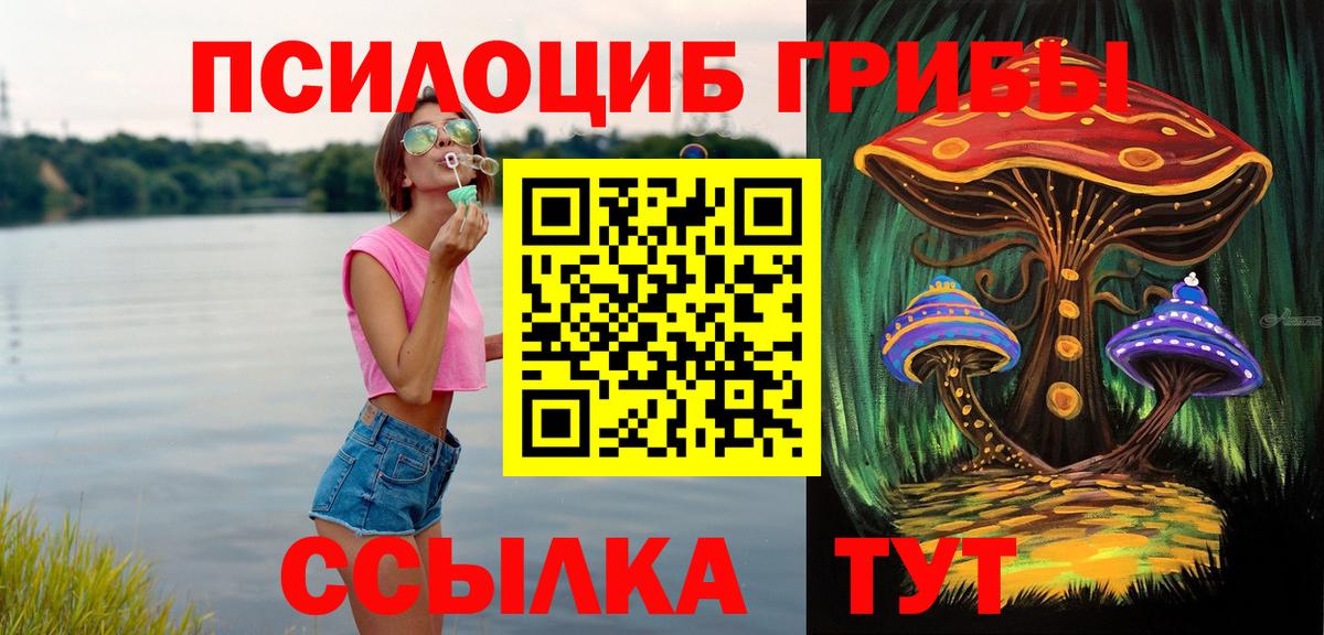Псилоцибиновые грибы Cubensis  Вход с VPN  Нижнекамск 