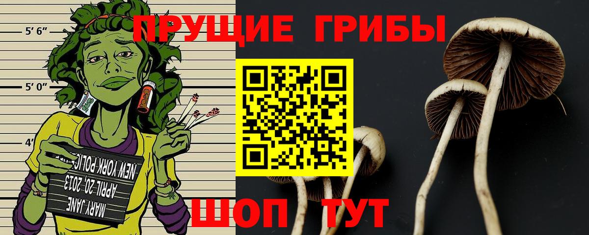 Галлюциногенные грибы мухоморы Нижнекамск
